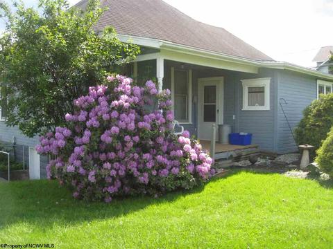 302 Cherry St, Bridgeport, WV 26330 photo 3