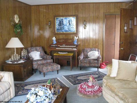 302 Cherry St, Bridgeport, WV 26330 photo 8