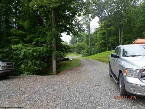 135 Oak Leaf Dr, Sutton, WV 26601 photo 4