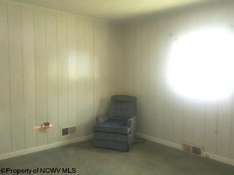 116 Washington St, Fairview, WV 26570 photo 19