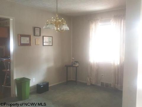 116 Washington St, Fairview, WV 26570 photo 17