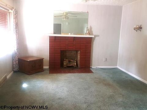 116 Washington St, Fairview, WV 26570 photo 12