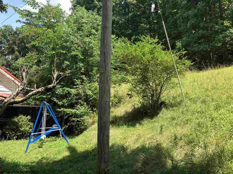 1808 Hagans Rd, Core, WV 26541 photo 17