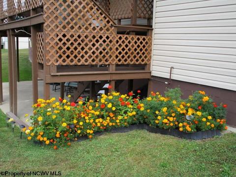34 Robin St, Beverly, WV 26253 photo 3