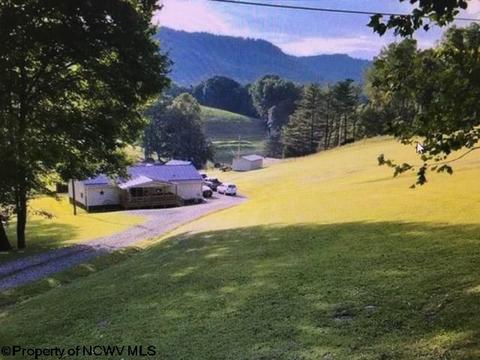 816 Old Womans Run Rd, Sutton, WV 26601 photo 6