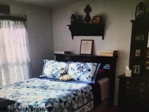 816 Old Womans Run Rd, Sutton, WV 26601 photo 7