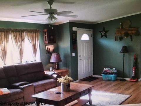 816 Old Womans Run Rd, Sutton, WV 26601 photo 5