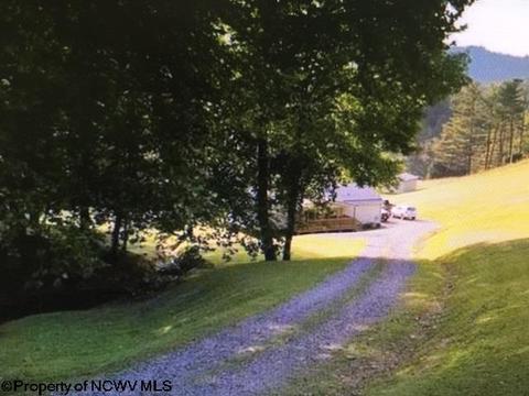 816 Old Womans Run Rd, Sutton, WV 26601 photo 3