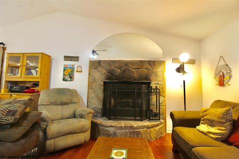 1375 E Alpine Dr, Terra Alta, WV 26764 photo 7