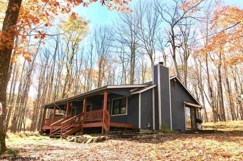 1375 E Alpine Dr, Terra Alta, WV 26764 photo 1
