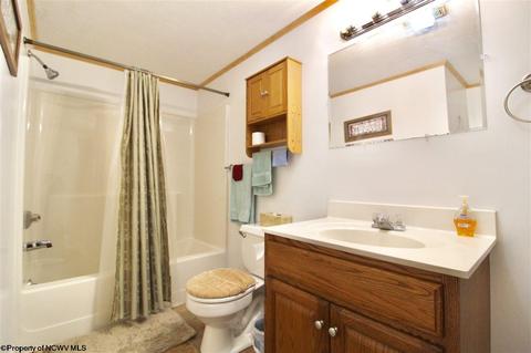 1375 E Alpine Dr, Terra Alta, WV 26764 photo 18