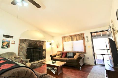 1375 E Alpine Dr, Terra Alta, WV 26764 photo 6