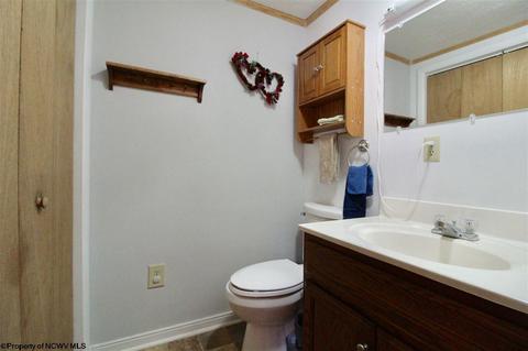 1375 E Alpine Dr, Terra Alta, WV 26764 photo 13