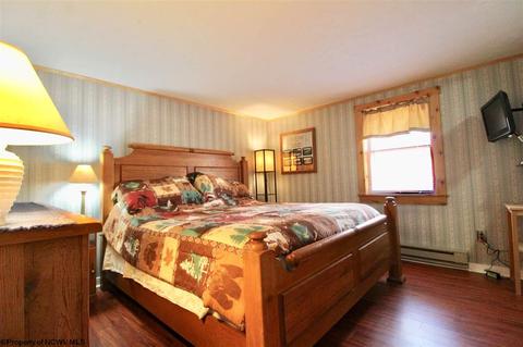 1375 E Alpine Dr, Terra Alta, WV 26764 photo 11