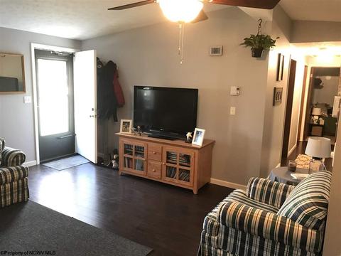 139 Vector Ave, Elkins, WV 26241 photo 17