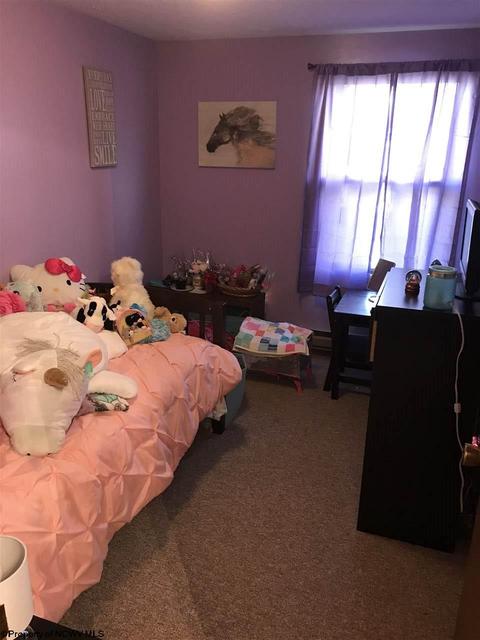 139 Vector Ave, Elkins, WV 26241 photo 9