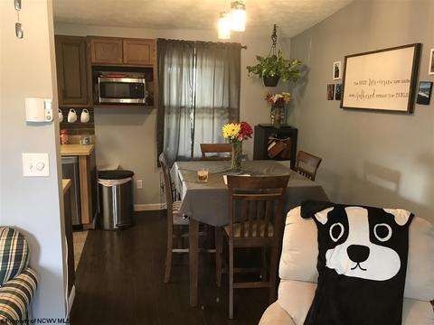 139 Vector Ave, Elkins, WV 26241 photo 11