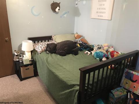 139 Vector Ave, Elkins, WV 26241 photo 7