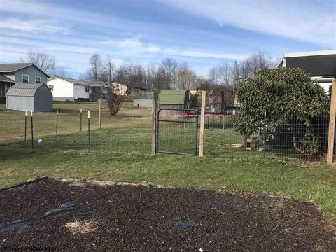 139 Vector Ave, Elkins, WV 26241 photo 4
