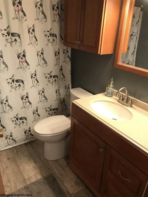139 Vector Ave, Elkins, WV 26241 photo 8