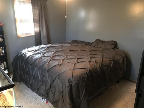 139 Vector Ave, Elkins, WV 26241 photo 6