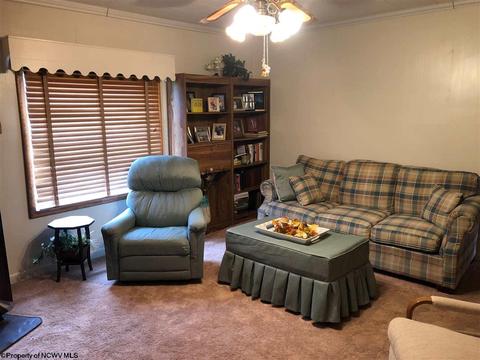195 N Baxter St, Sutton, WV 26601 photo 11