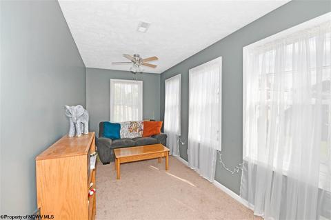 602 E Park Ave, Fairmont, WV 26554 photo 13