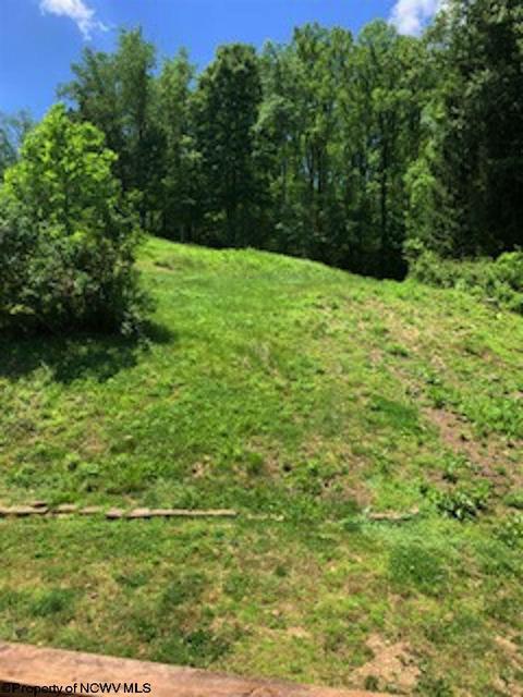 245 Baxter St, Baxter, WV 26560 photo 17