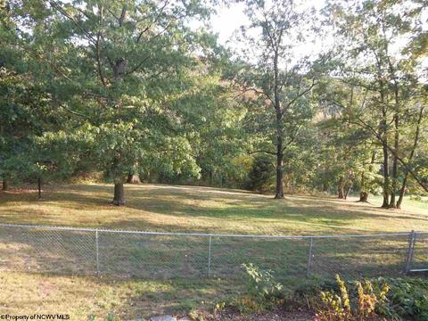 1102 Harvatis St, Morgantown, WV 26508 photo 3