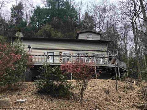 2224 Polemic Run Rd, Sutton, WV 26601 photo 1