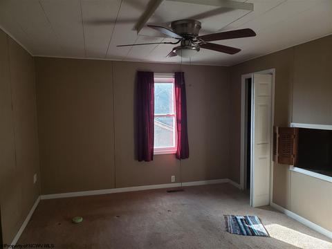 117 Baltimore St, Mannington, WV 26582 photo 14