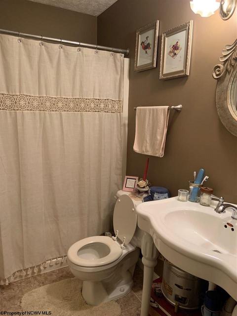 396 Briar Patch Rd, Philippi, WV 26416 photo 13