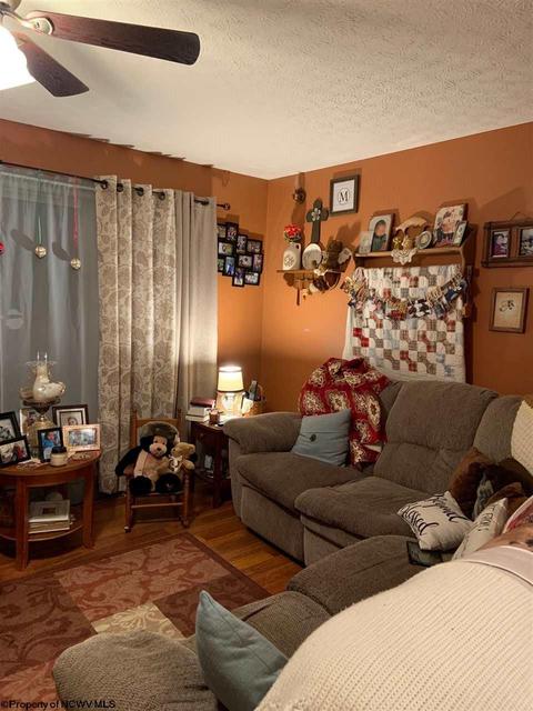 396 Briar Patch Rd, Philippi, WV 26416 photo 4