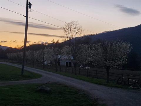 10473 Dry Fork Rd, Hendricks, WV 26271 photo 12