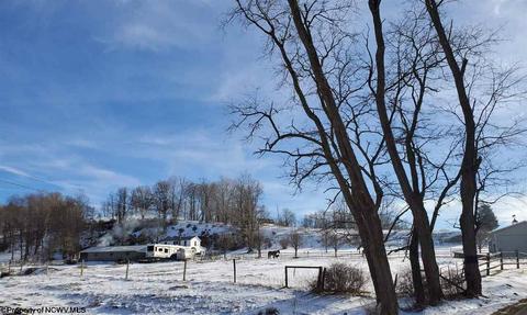 10473 Dry Fork Rd, Hendricks, WV 26271 photo 13