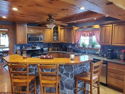 10473 Dry Fork Rd, Hendricks, WV 26271 photo 5