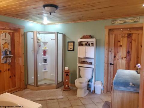 10473 Dry Fork Rd, Hendricks, WV 26271 photo 18