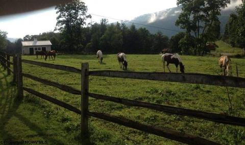 10473 Dry Fork Rd, Hendricks, WV 26271 photo 17