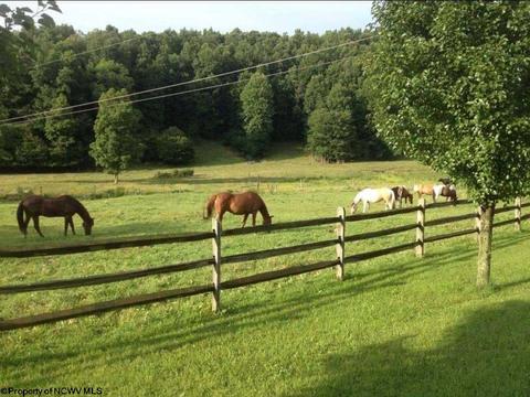 10473 Dry Fork Rd, Hendricks, WV 26271 photo 15