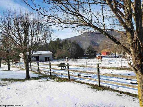 10473 Dry Fork Rd, Hendricks, WV 26271 photo 9