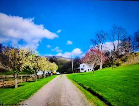 10473 Dry Fork Rd, Hendricks, WV 26271 photo 22
