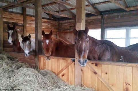10473 Dry Fork Rd, Hendricks, WV 26271 photo 6