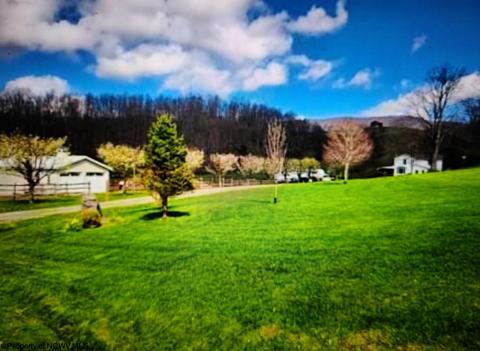 10473 Dry Fork Rd, Hendricks, WV 26271 photo 27