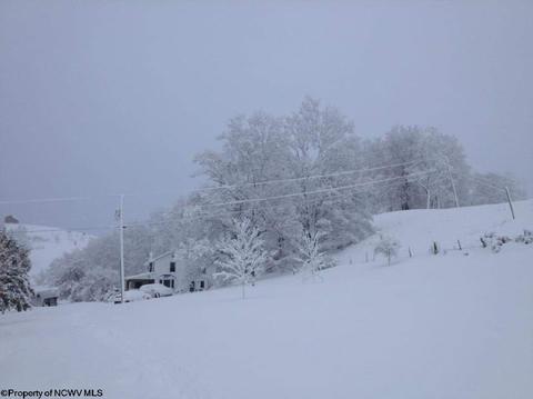 10473 Dry Fork Rd, Hendricks, WV 26271 photo 20