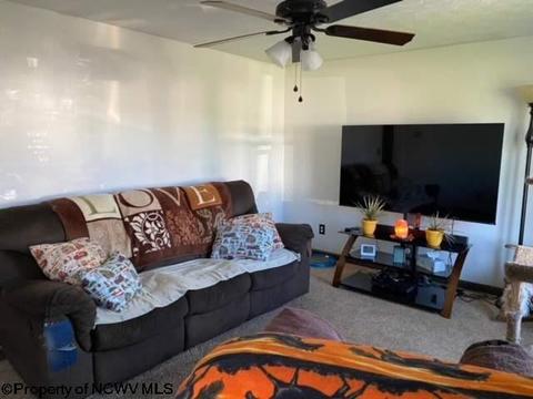 131 Vector Ave, Elkins, WV 26241 photo 7