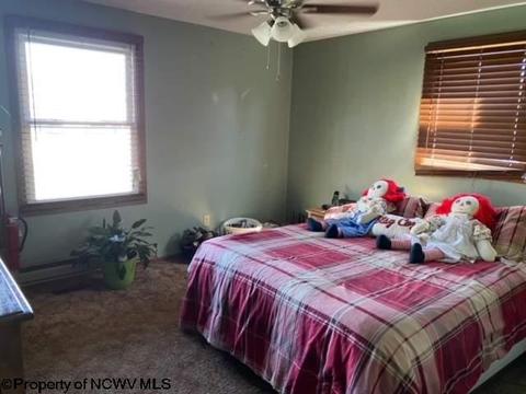 131 Vector Ave, Elkins, WV 26241 photo 11