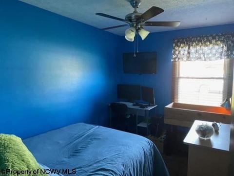 131 Vector Ave, Elkins, WV 26241 photo 13