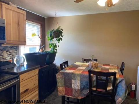 131 Vector Ave, Elkins, WV 26241 photo 10