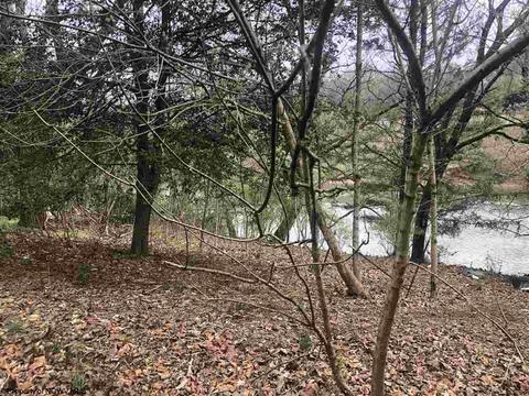 500 Riverview Dr, Sutton, WV 26601 photo 2