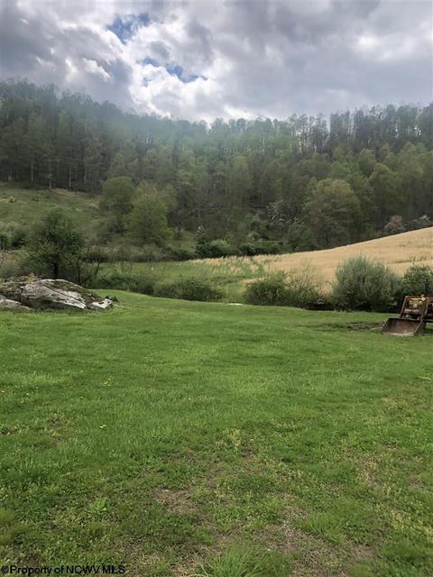 722 Cherry Fork Rd, Crawford, WV 26343 photo 5